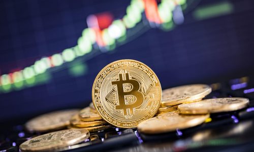The Government versus Bitcoin